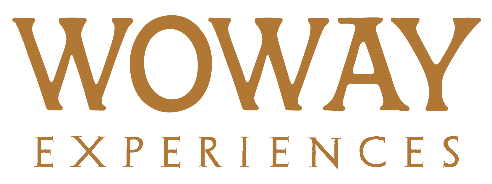 logo-img