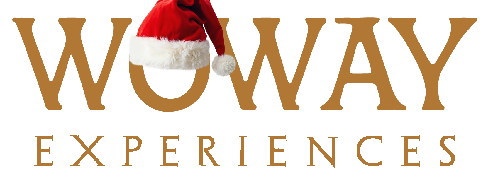 logo-img